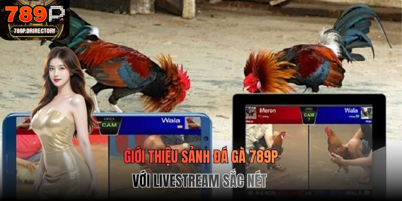 Giới thiệu sảnh đá gà 789P với livestream sắc nét