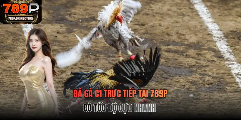Đá gà C1 trực tiếp tại 789p có tốc độ cực nhanh